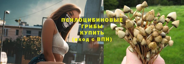 скорость Аркадак