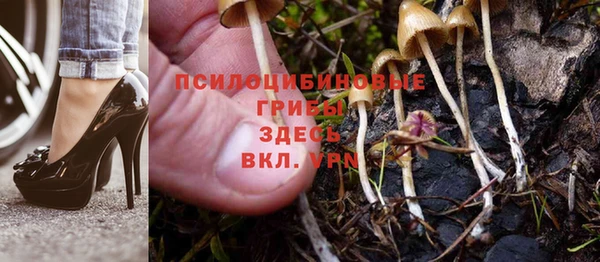 соль курить ск Арсеньев