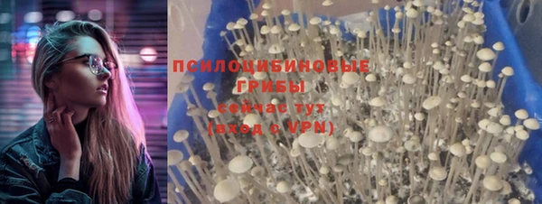 скорость Аркадак